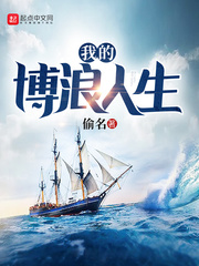  我的博浪人生