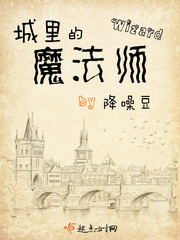  城里的魔法师