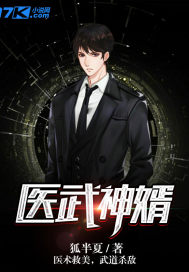  医武神婿