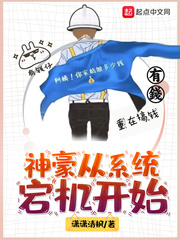  神豪从系统宕机开始